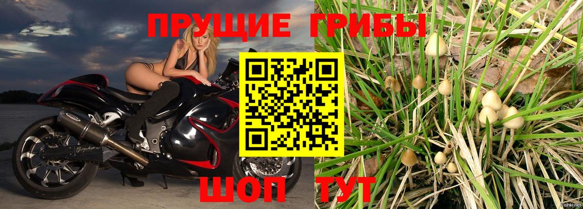 Псилоцибиновые грибы прущие грибы Волгоград
