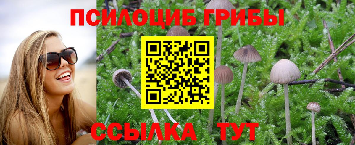 Волгоград  Псилоцибиновые грибы ЛСД  Вход с VPN 